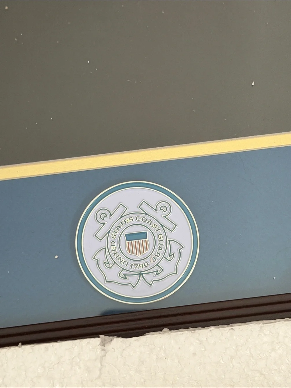 United States Coast Guard Certificate Of Achievement Frame With Medallion